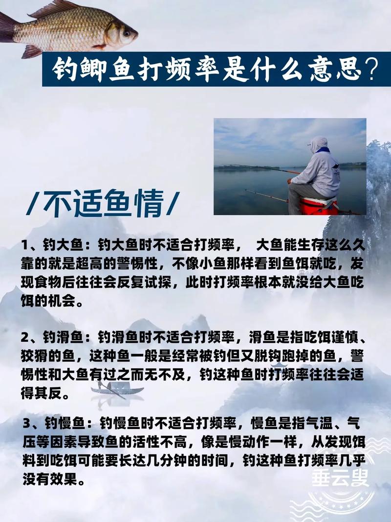 梦见鲫鱼 捉鲫鱼是什么意思