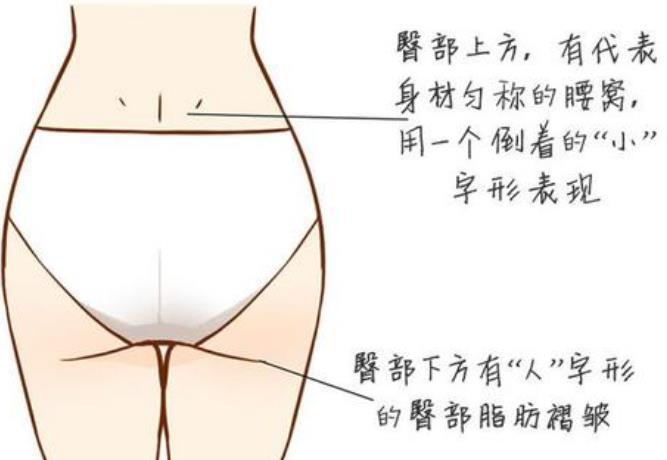 体相看有腰窝的人运气好吗