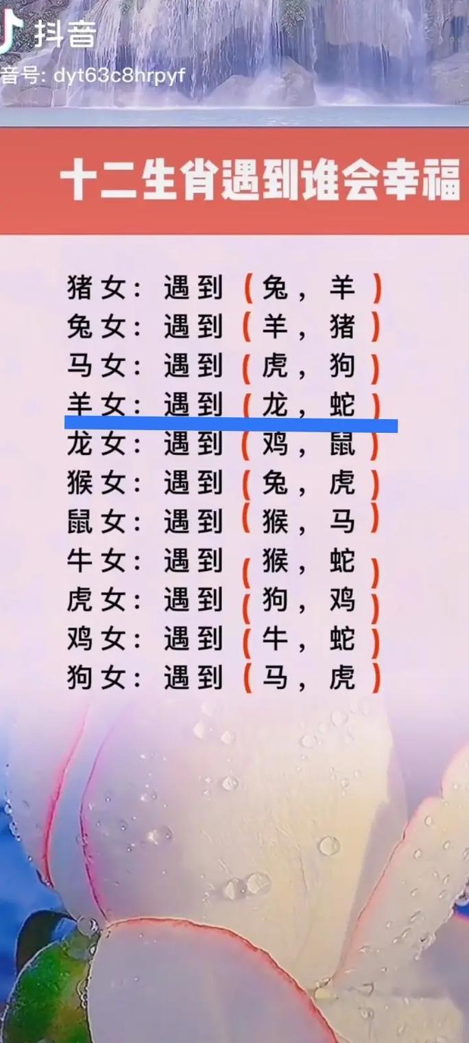 八字不合是什么意思
