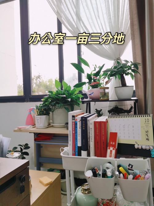 女生办公室怎么布置会招桃花?明堂狭小有局限的风水好吗?