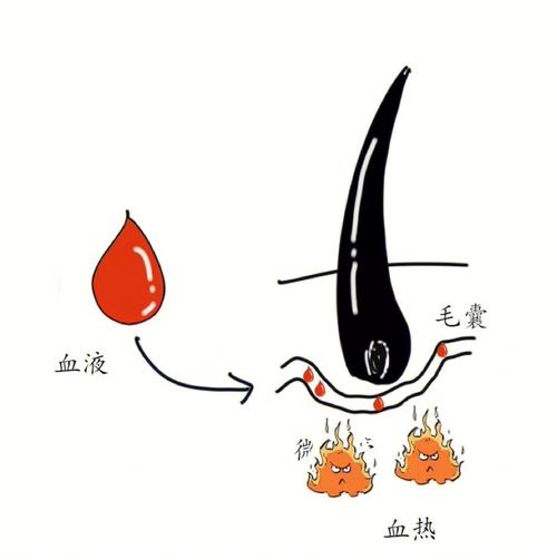经常脱发的女人运势都会有哪些说法