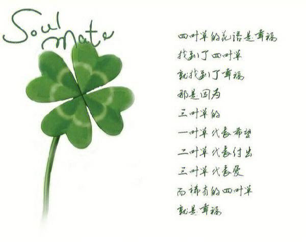 四叶草的含义,四叶草的花语