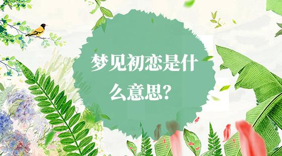 梦见初恋是什么意思