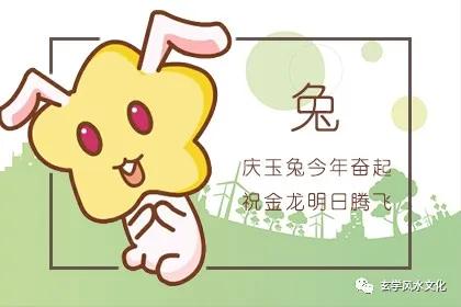 很乖巧,街坊都喜爱这些生肖女
