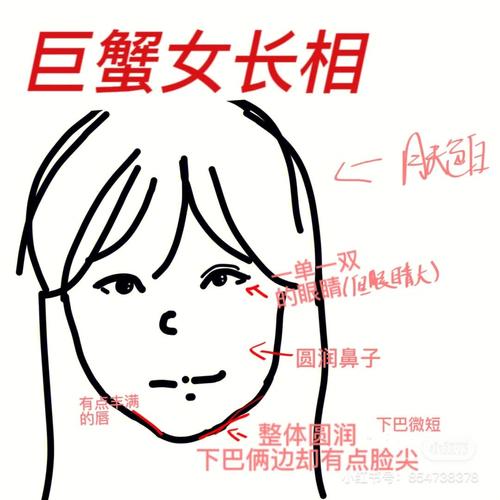 巨蟹女的长相特征