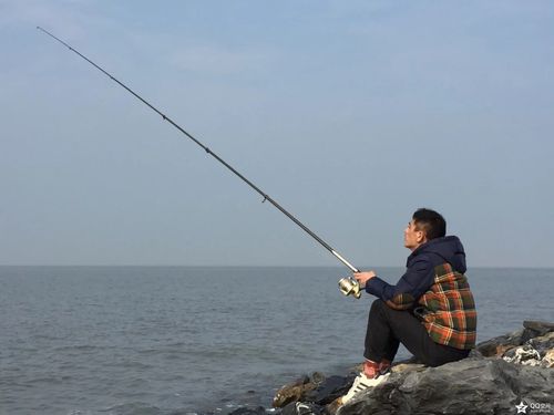 做梦梦见大海钓鱼意味着什么,梦见大海钓鱼好不好?