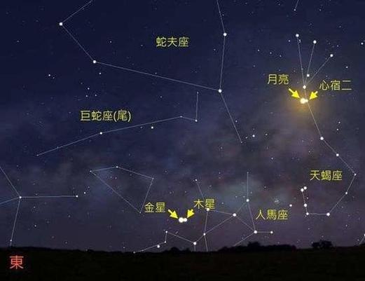 心宿二属于哪个星座