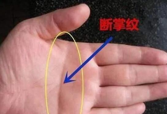 双手断掌纹的男人命运怎么样