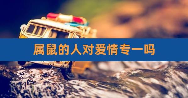 属鼠人爱情大起底,神准!