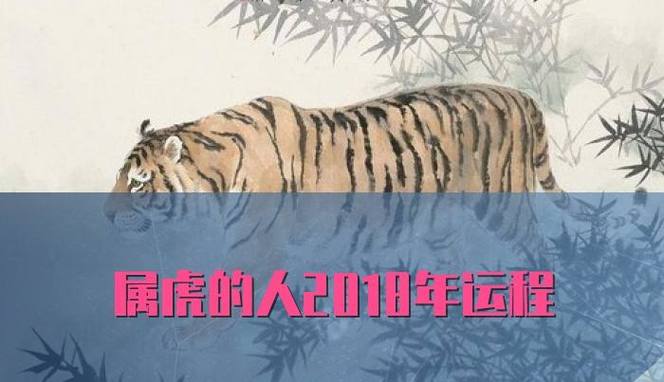 运程查询:2021年7月属虎女运势发展方向好吗