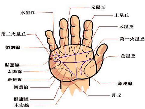 手相指纹算命图解