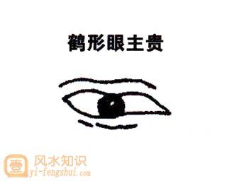 鹤眼是什么形状