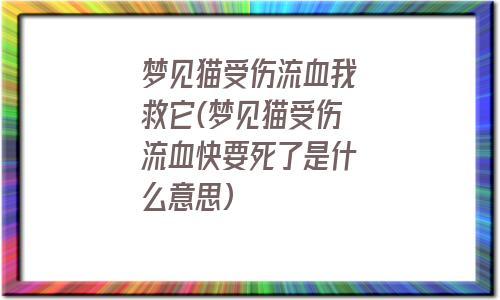 梦见猫受伤是什么意思?