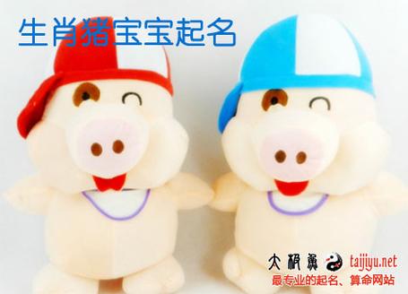 2019年农历五月出生的猪宝宝该怎么起名好?
