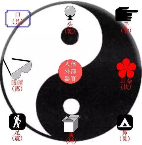 身体哪里出现问题,家中这里的风水一定有缺陷