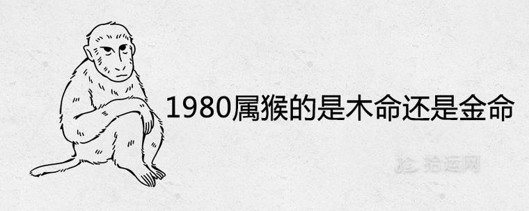 1980年属猴的是木命还是金命,金猴之命一生贵人帮助