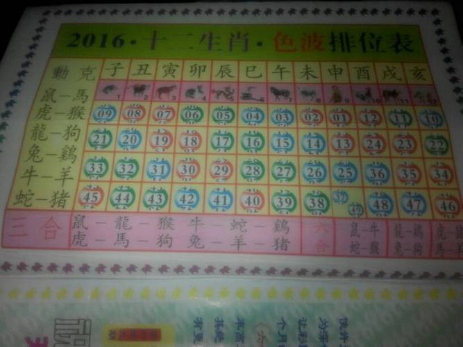 2016是什么命_2016年属相查询表