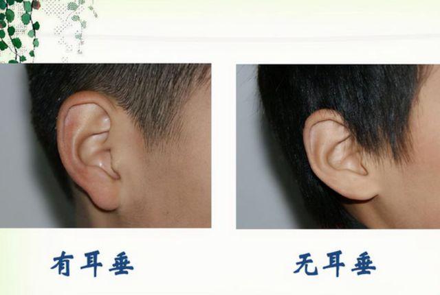 棋子耳朵的人的命运