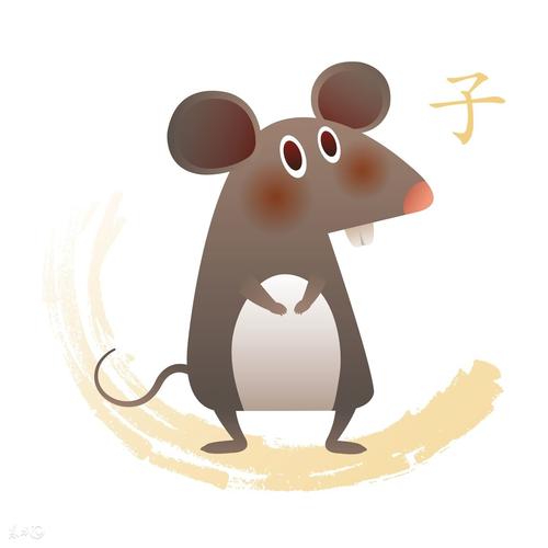 惹人喜欢的生肖是哪些