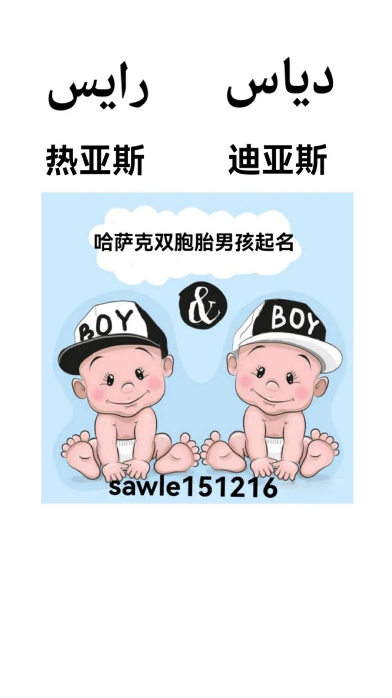 怎样给双胞胎男宝宝起名