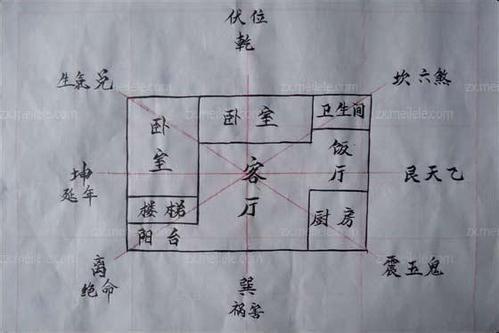 属蛇的装修风水布局,要注意“和谐
