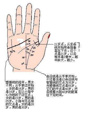 命运线流年法什么意思