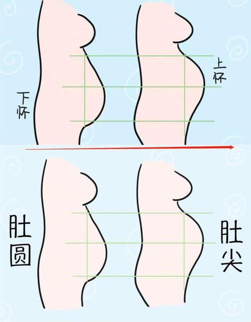 孕妇肚皮形状看生男生女