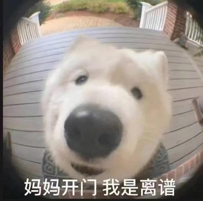 梦见自己打牌被别人骗代表什么?
