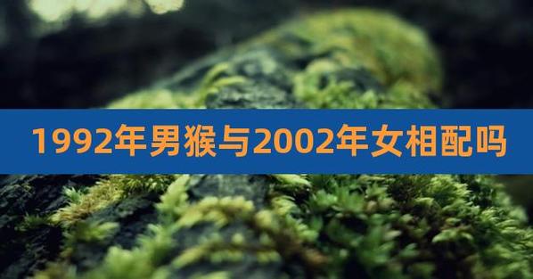 属猴男的和属猴女的相配吗