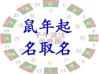 姓杨女孩子名字大全洋气属鼠