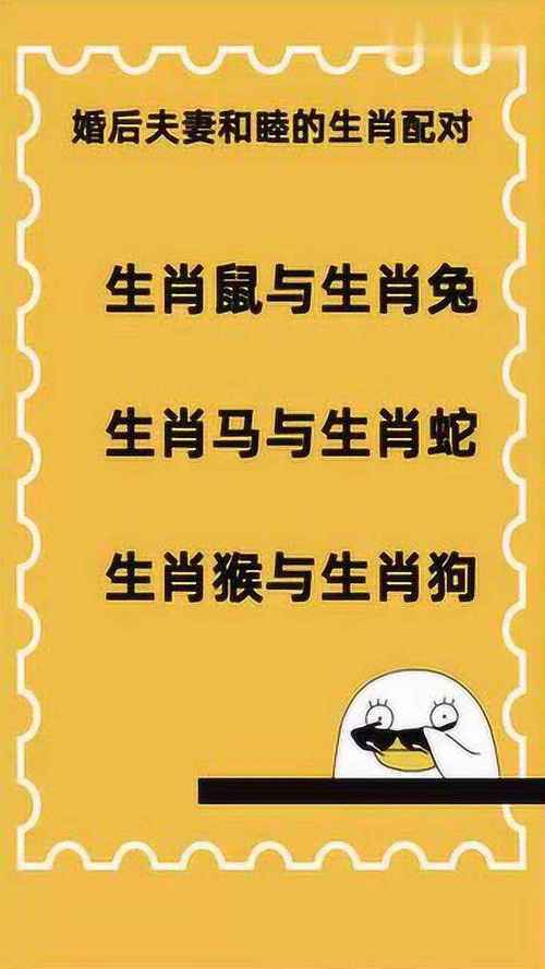 属猴女生找男友最重视什么条件