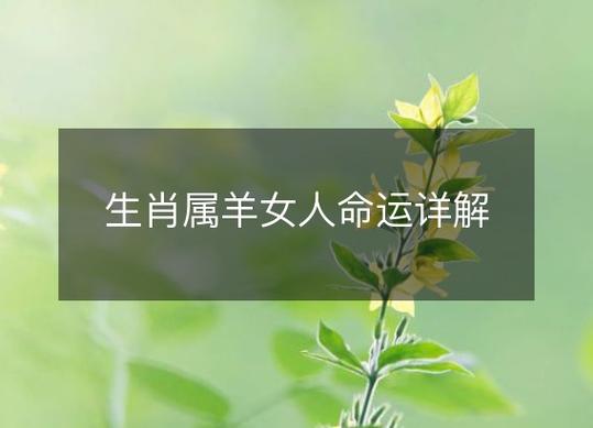 属羊女人一生的命运