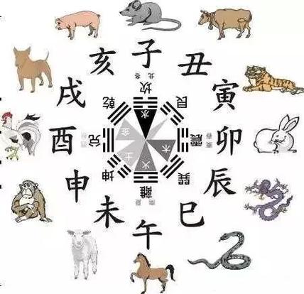 十二生肖属什么最好排名