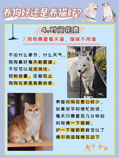 养猫or养狗 哪个才对宝宝好