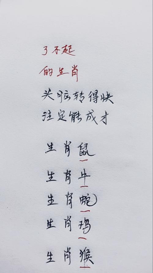 善于规划拥有经济头脑的生肖