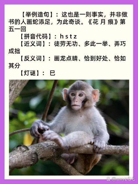 蛇和猴为什么是冤家