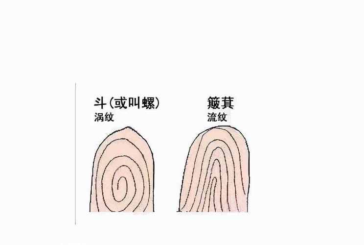 女人七个斗什么命