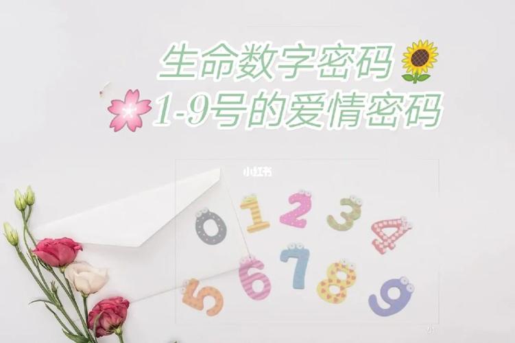 饿木命人适合什么数字?