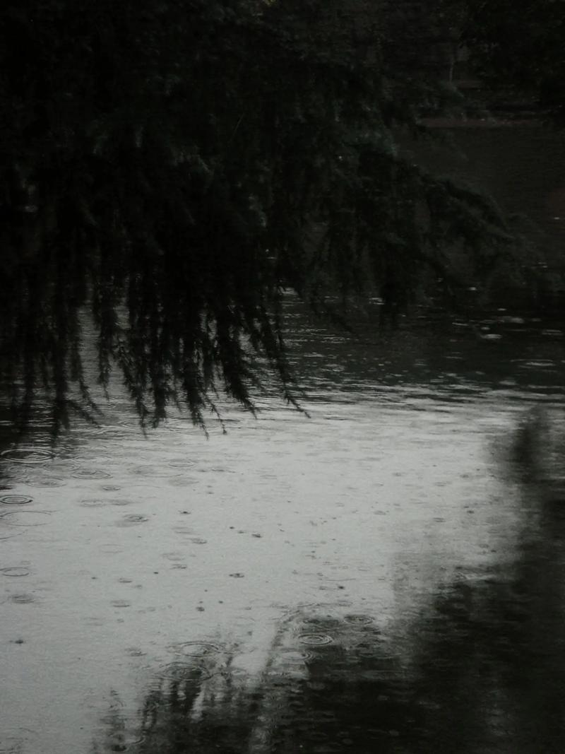 细雨蒙蒙湿 江边路不通 道途音信远 凭仗借东风是什么意思?
