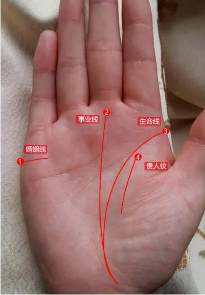 女的手相看哪个