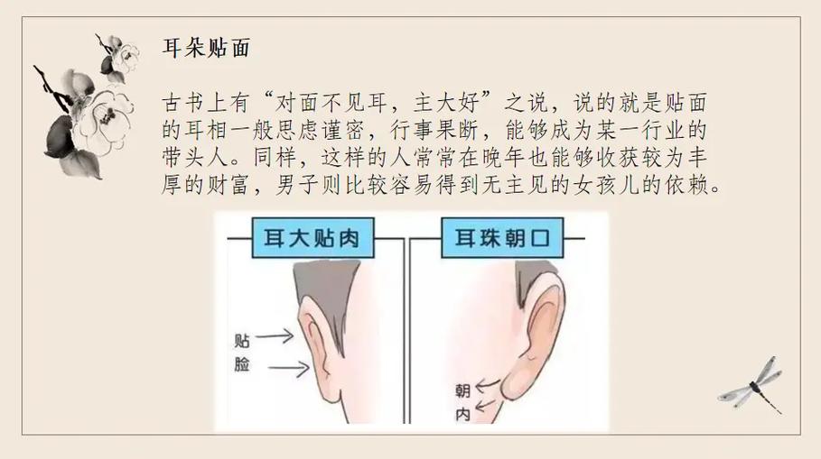 你的财运和福气,从耳朵里一看便知