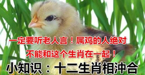 属鸡男喜欢听漂亮话吗