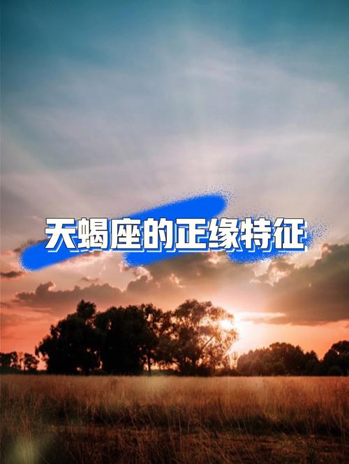 2023年天蝎女爱情运程如何,2023年天蝎女正缘星座
