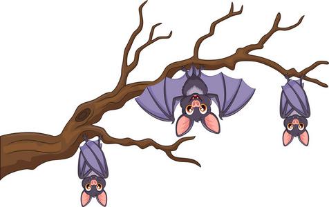 属兔客厅不适合挂什么画？万万不可挂蝙蝠