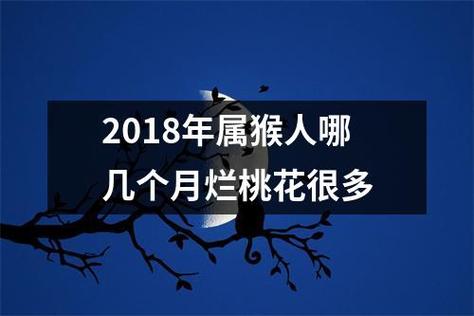 2018年属猴人会遭遇几次烂桃花