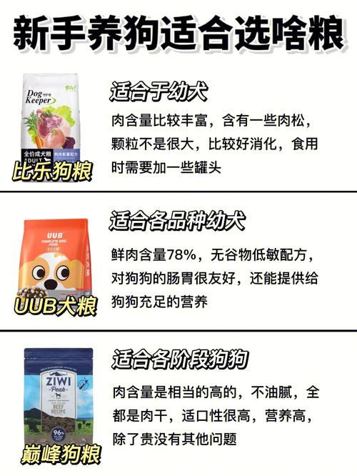 十二星座最配什么宠物