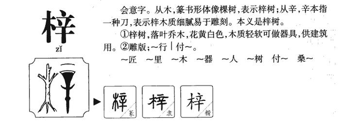 梓字属于五行属什么,梓是不是八字土的字