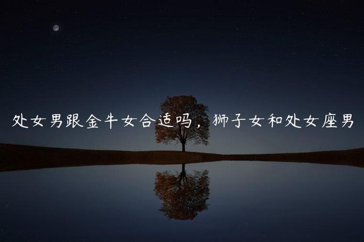 男狮子处女座和女金牛座二区配对