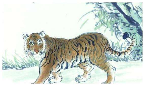 生肖虎如何告别2013