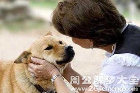 梦见狗被亲人打